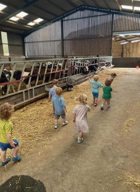 Children visiting the cows